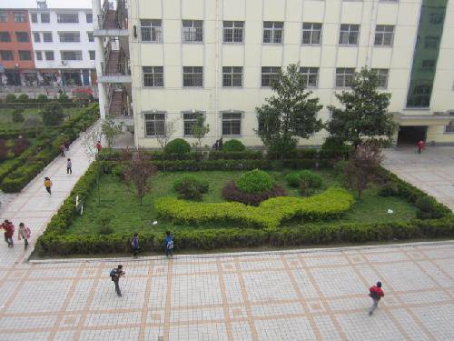 爱校园,就从识花草开始吧(2)作文