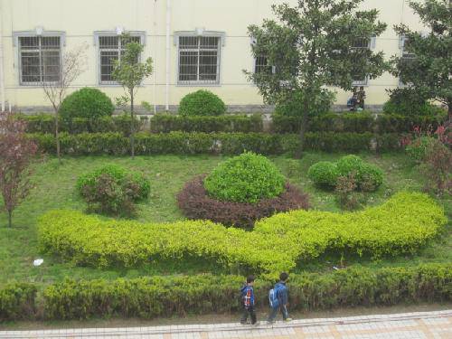 爱校园,就从识花草开始吧(2)作文