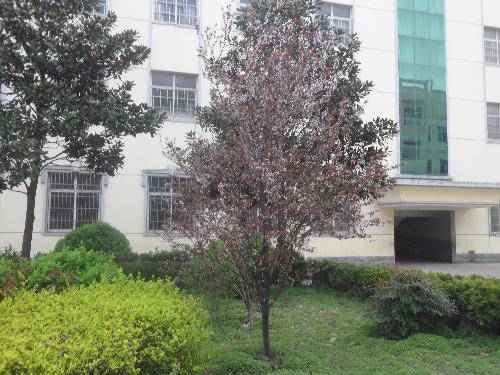 爱校园,就从识花草开始吧(2)作文