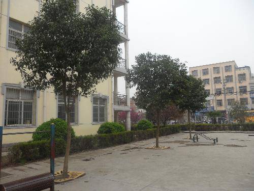 爱校园,就从识花草开始吧(2)作文