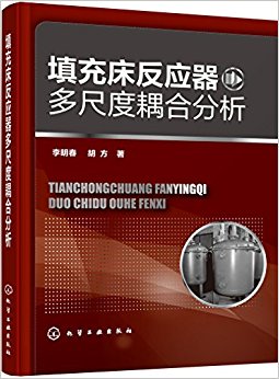 填充床反应器多尺度耦合分析