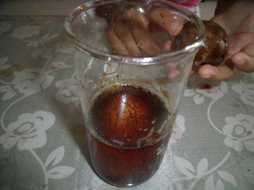 科学小实验(八)--鸡蛋观察记录作文