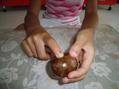 科学小实验(八)--鸡蛋观察记录作文