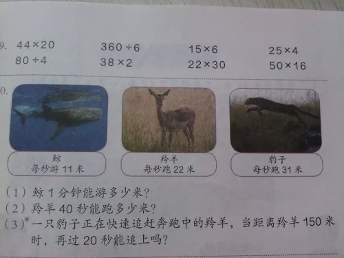 口算乘法教学反思作文