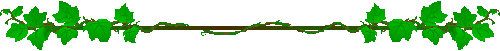 ˯---ӲӵĶѧϰ1