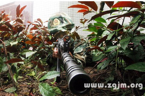 梦见埋伏是什么意思