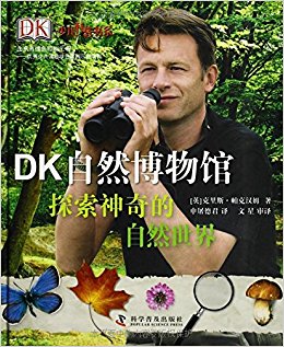 ٶϵ:DKȻ
