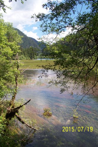 九寨沟一日游作文