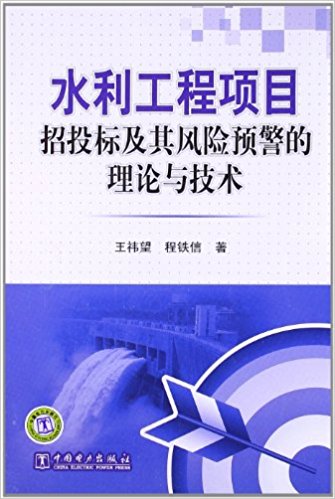 水利工程项目招投标及其风险预警的理论与技术