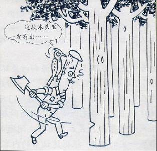 桱 