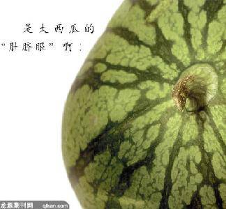 鲻ֻ