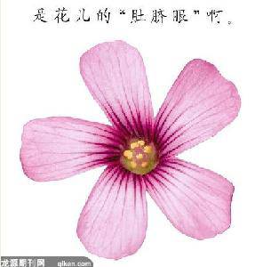 鲻ֻ