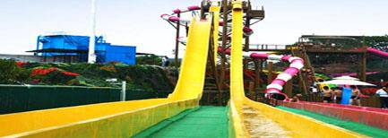 好玩的森海湾水上乐园作文