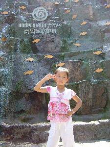 美丽的青岛海底世界——(图文)作文