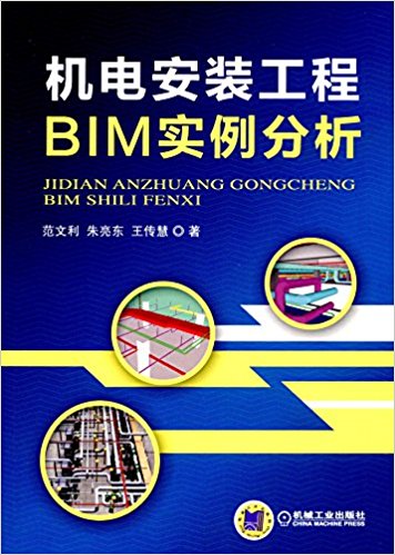 簲װBIMʵ