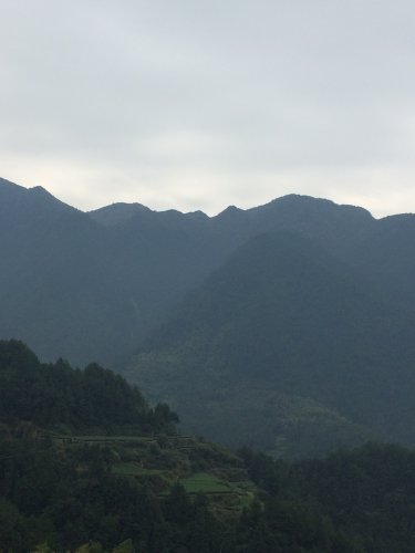 探寻最美古村---西坑村作文