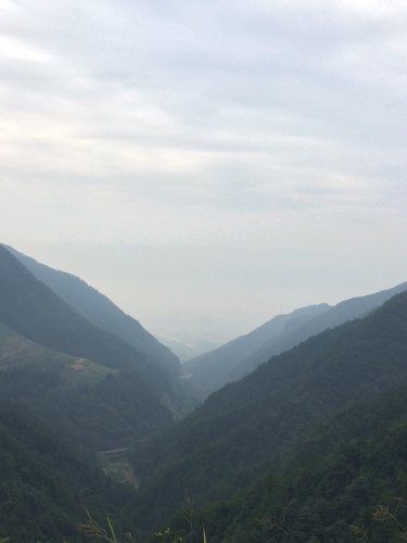 探寻最美古村---西坑村作文