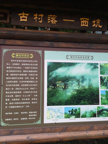 探寻最美古村---西坑村作文