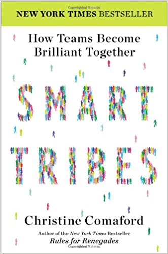 SmartTribes: How Teams Become Brilliant Together