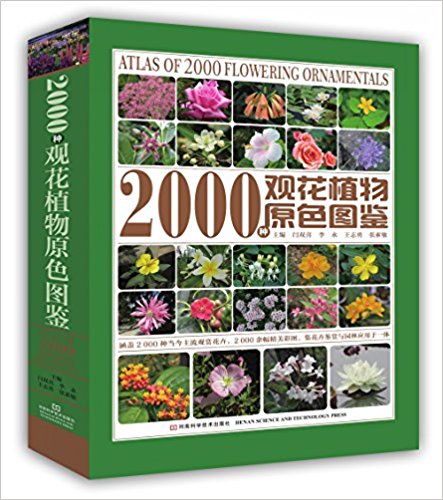 2000ֹۻֲԭɫͼ