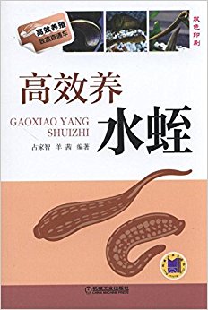 高效养水蛭