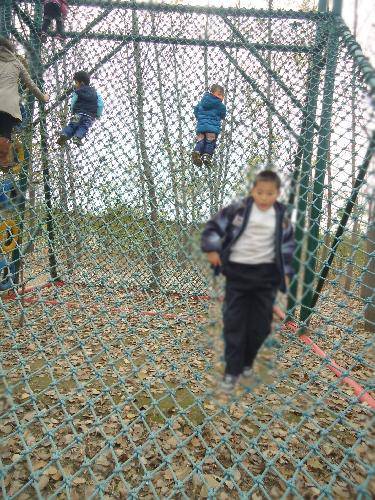 我自己可以吗(图文)作文