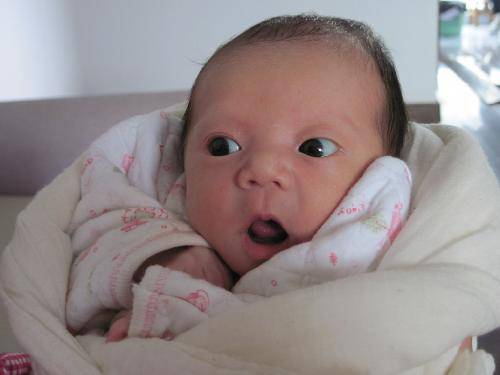 家有一宝,乐趣不少(附照片)作文