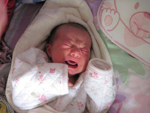 家有一宝,乐趣不少(附照片)作文