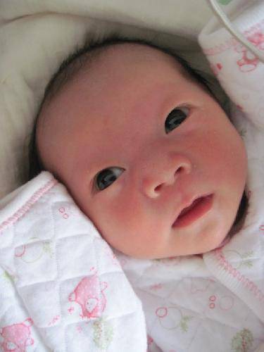 家有一宝,乐趣不少(附照片)作文