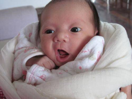 家有一宝,乐趣不少(附照片)作文