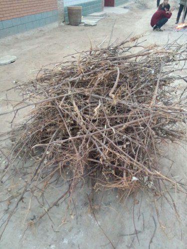 欢乐的元宵节习俗作文