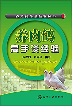 养肉鸽高手谈经验