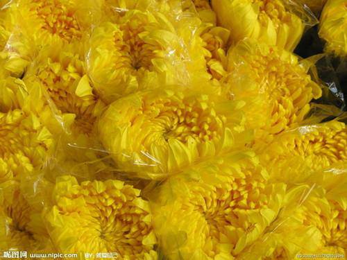 小悦悦悲情离世,让我们为她祈祷作文