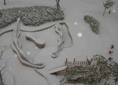 小雪花的故事-------2009年的第一场雪作文