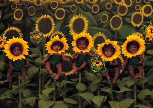 2017էUcܧUddYdY觺ӧبf^