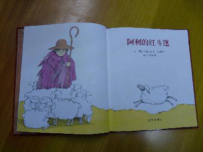 亲子共读《阿利的红斗蓬》作文