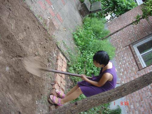 暑期特别体验之开荒种地作文