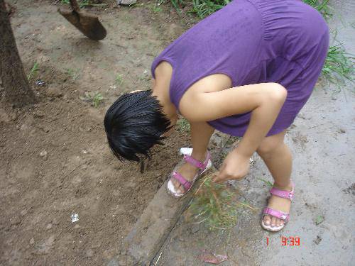 暑期特别体验之开荒种地作文