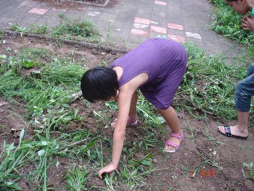 暑期特别体验之开荒种地作文