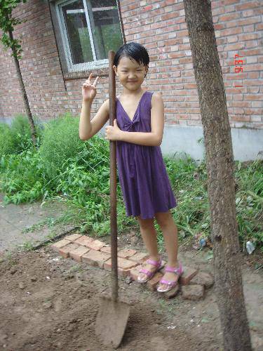 暑期特别体验之开荒种地作文