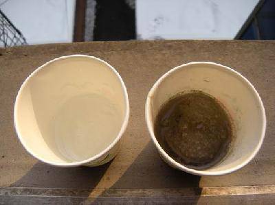 跟着校讯通彩信做实验—— 哪种雪融化的快作文