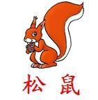 无痕背书 游戏识字作文