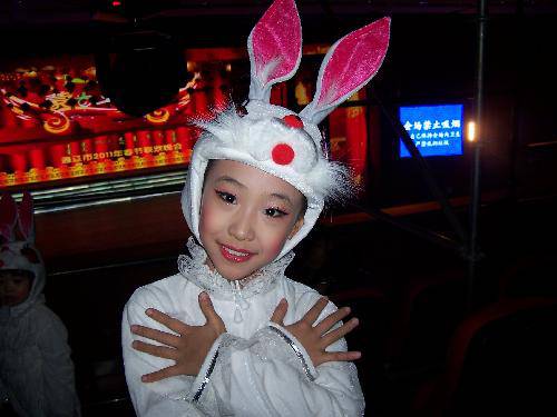 我上“春晚”啦作文