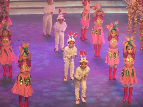 我上“春晚”啦作文