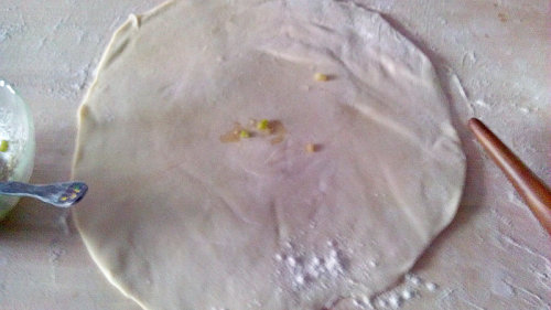 做葱花饼作文