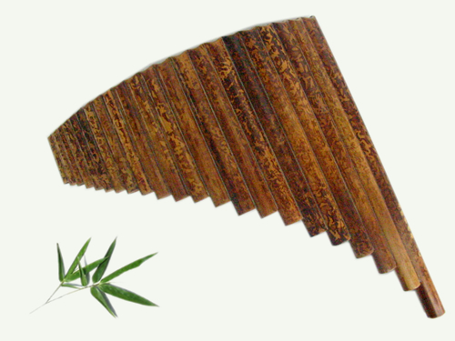 解析:用乐器来取名的方法
