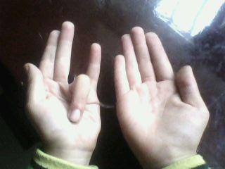 给家长朋友的一封信(二)作文