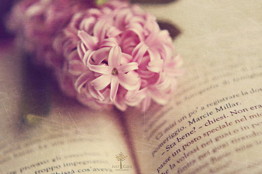 ЩӢ㶼֪