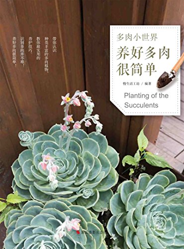 多肉小世界:养好多肉很简单