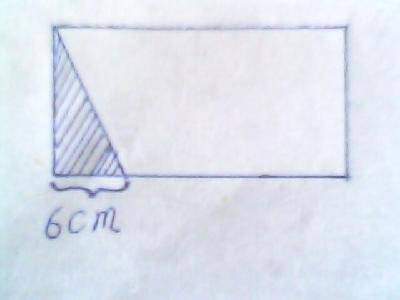 测试后的反思作文